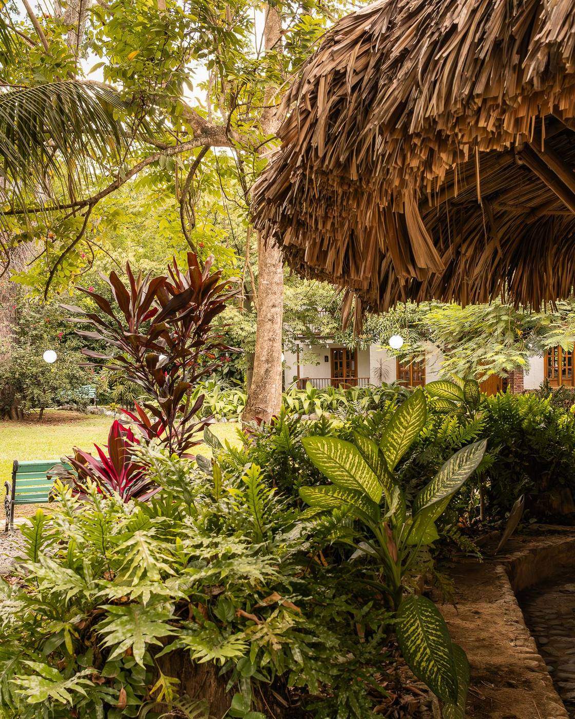 Sendero entre jardines tropicales de Palma Serena